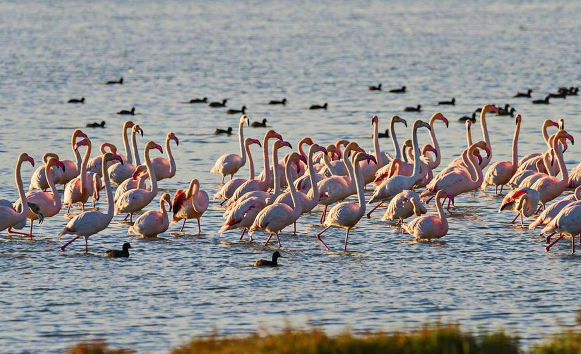 Llevant - Adosado En L'Ampolla Con Acceso Directo Al Mar - Deltavacaciones Dış mekan fotoğraf